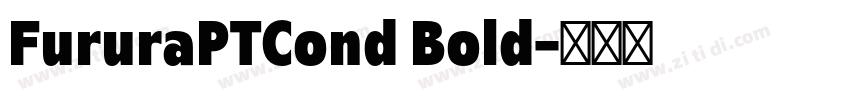 FururaPTCond Bold字体转换 FururaPTCond Bold字体转换